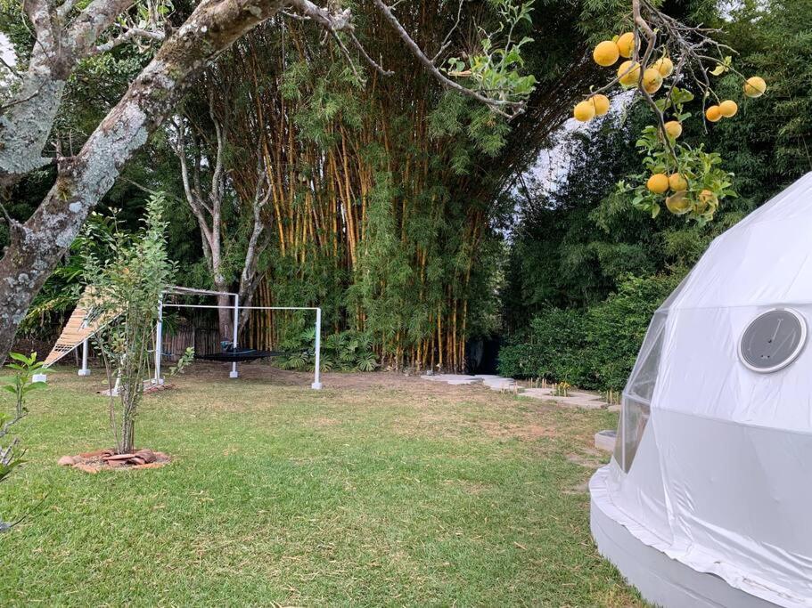 Dome In The Heart Of Boquete. Apartment Exterior photo